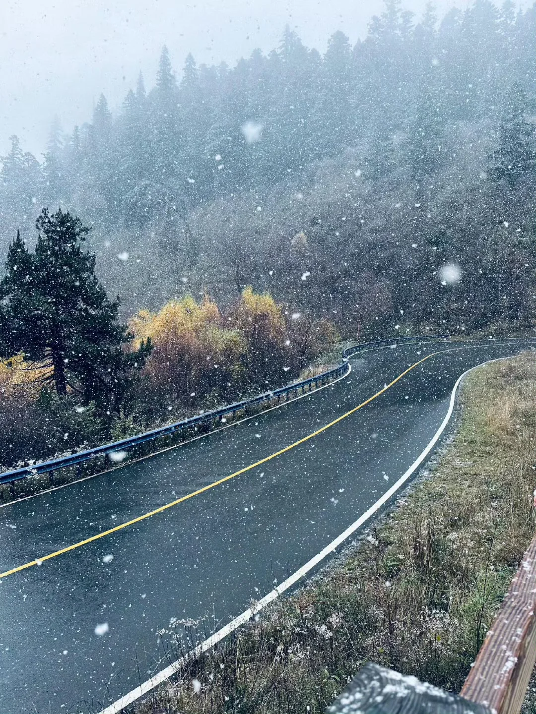 11月后的九寨沟、雪景＋人少＋半价、太酷辣