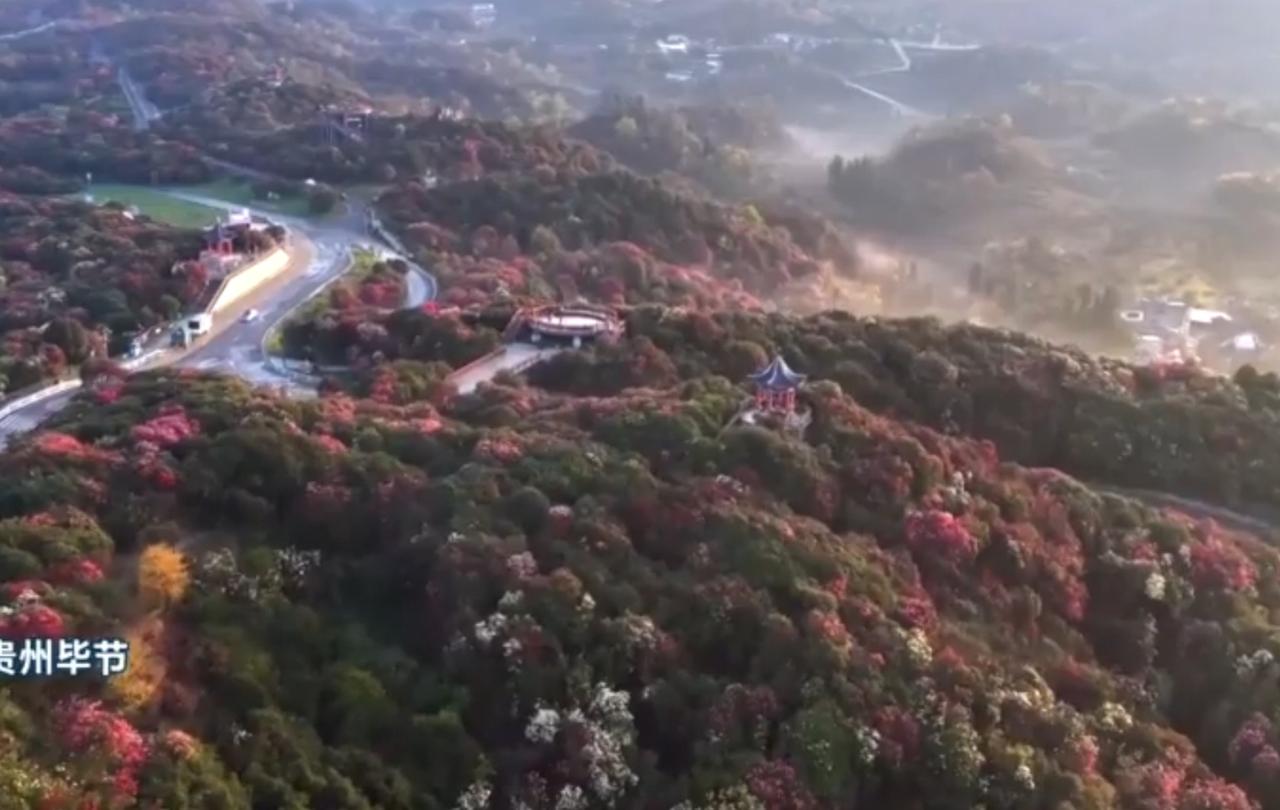 春和景明，神州大地繁花绽放，处处生机盎然。四川甘孜粉白花海缀绿田，青海杏林如云，