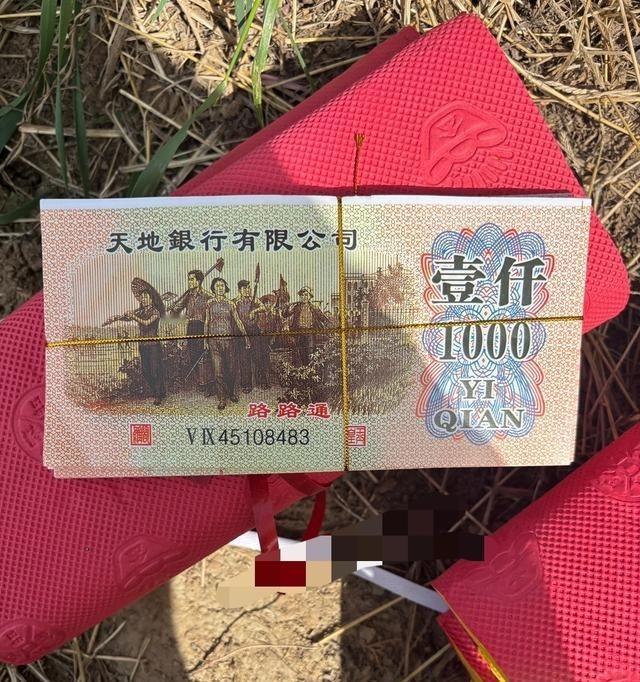 清明上坟就是家族照妖镜，人再多心不齐也白搭。孩子是父母的镜子，自己都不孝顺别指望