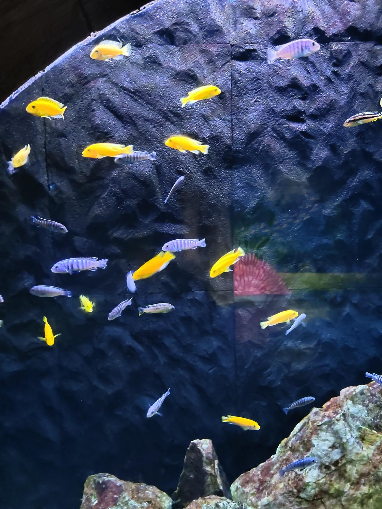 生活里最要紧的，
从来都不是那遥不可及的好日子，
而是身边的小日常。
是三餐吃口