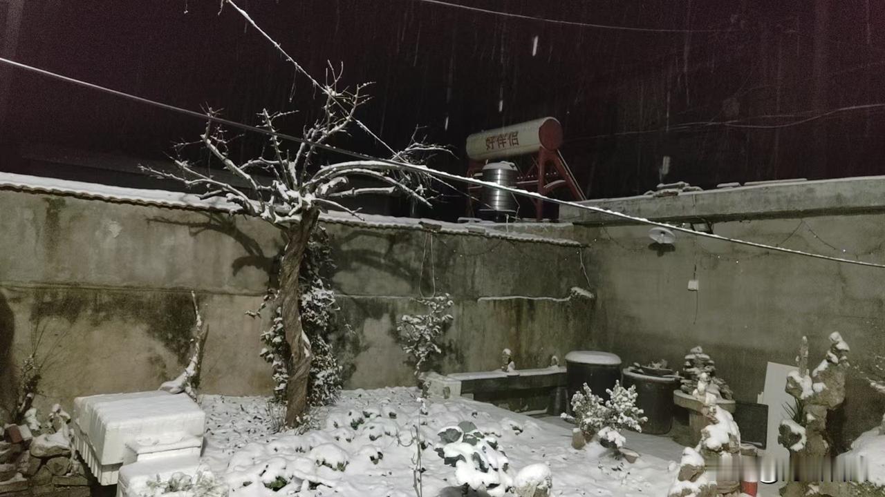 乡村的美景随手拍12月12日晚间，山东济宁迎来今年的第一次雪。