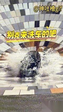 别去排队做那些花里胡哨的精洗了，看看这家店的操作，这才是真正的“暴力极简”。
车