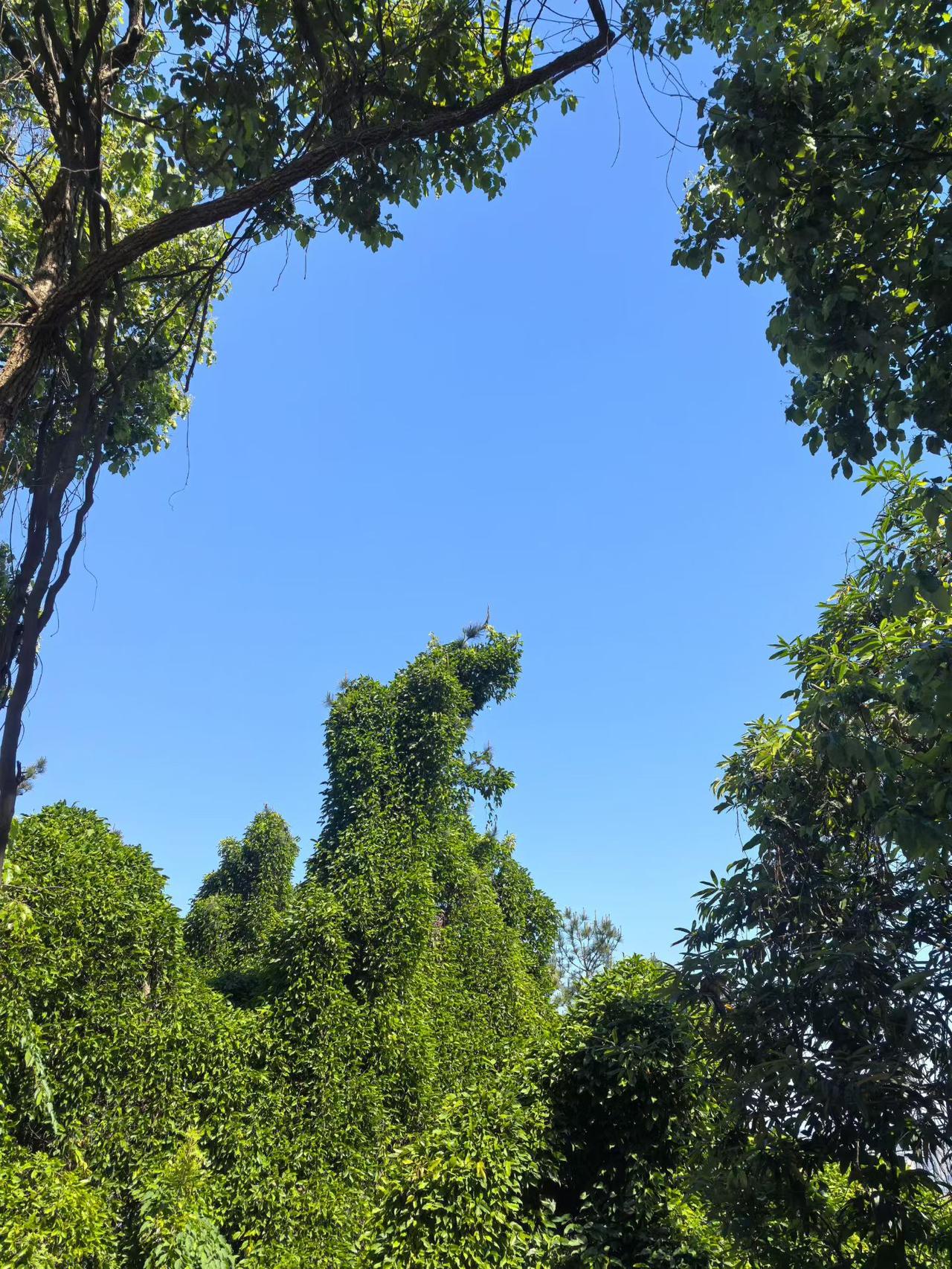 目标是动作，而不是状态，太对了。
很多人总把状态当成目标，比如想拥有“有钱”的状