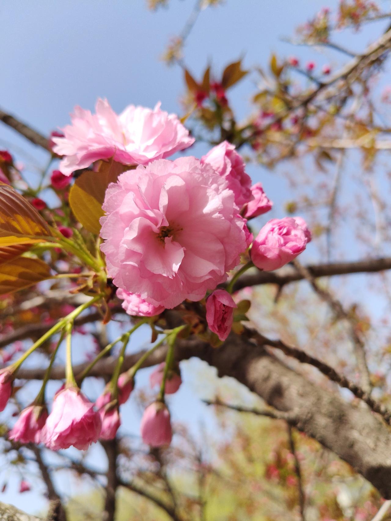 你觉得一个大国的崛起靠的是什么大国崛起，从来不是喊出来的，是真刀真枪干出来的。别