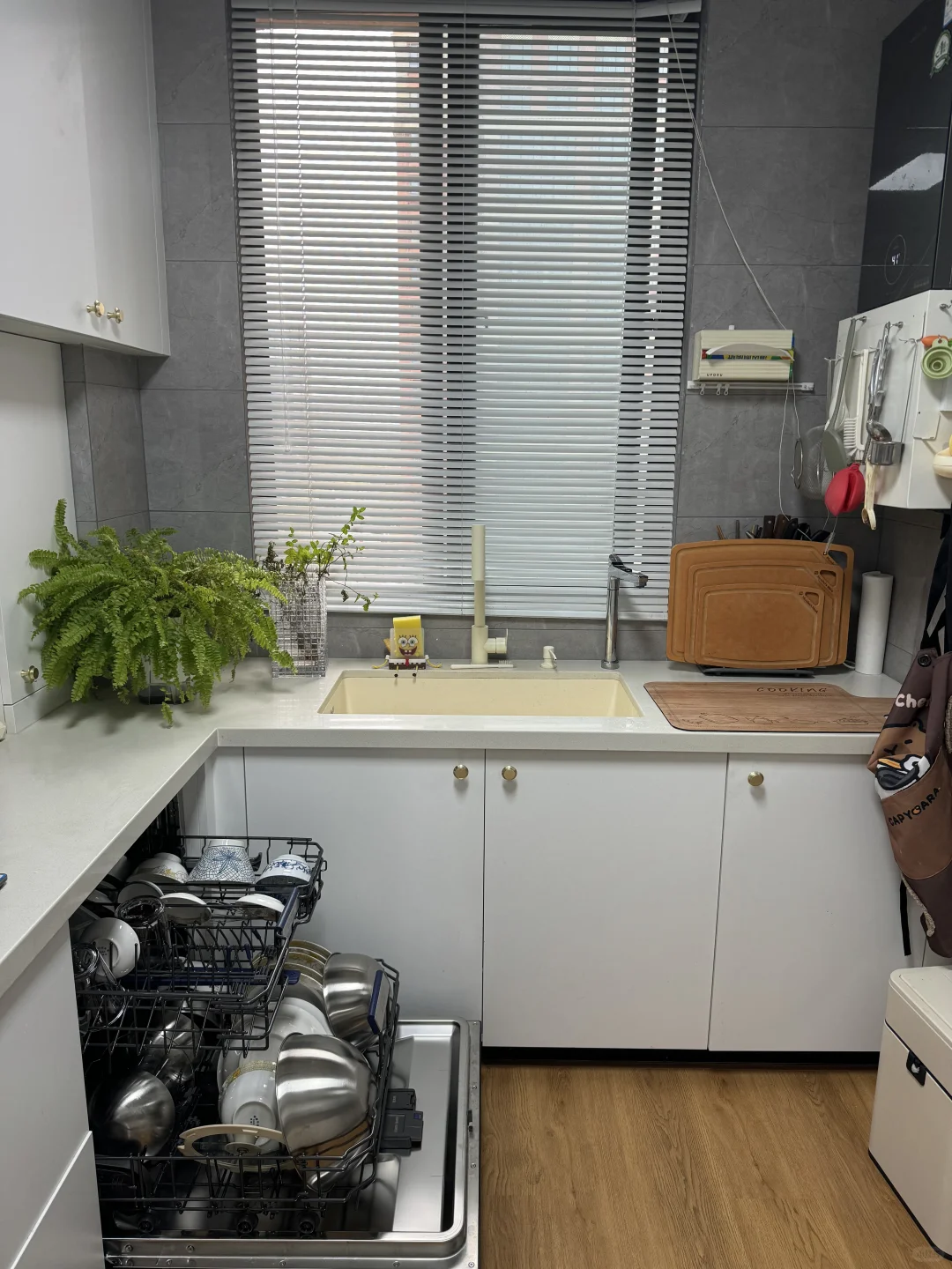 30+单身独居 | 过年最有用的除了💰还有？