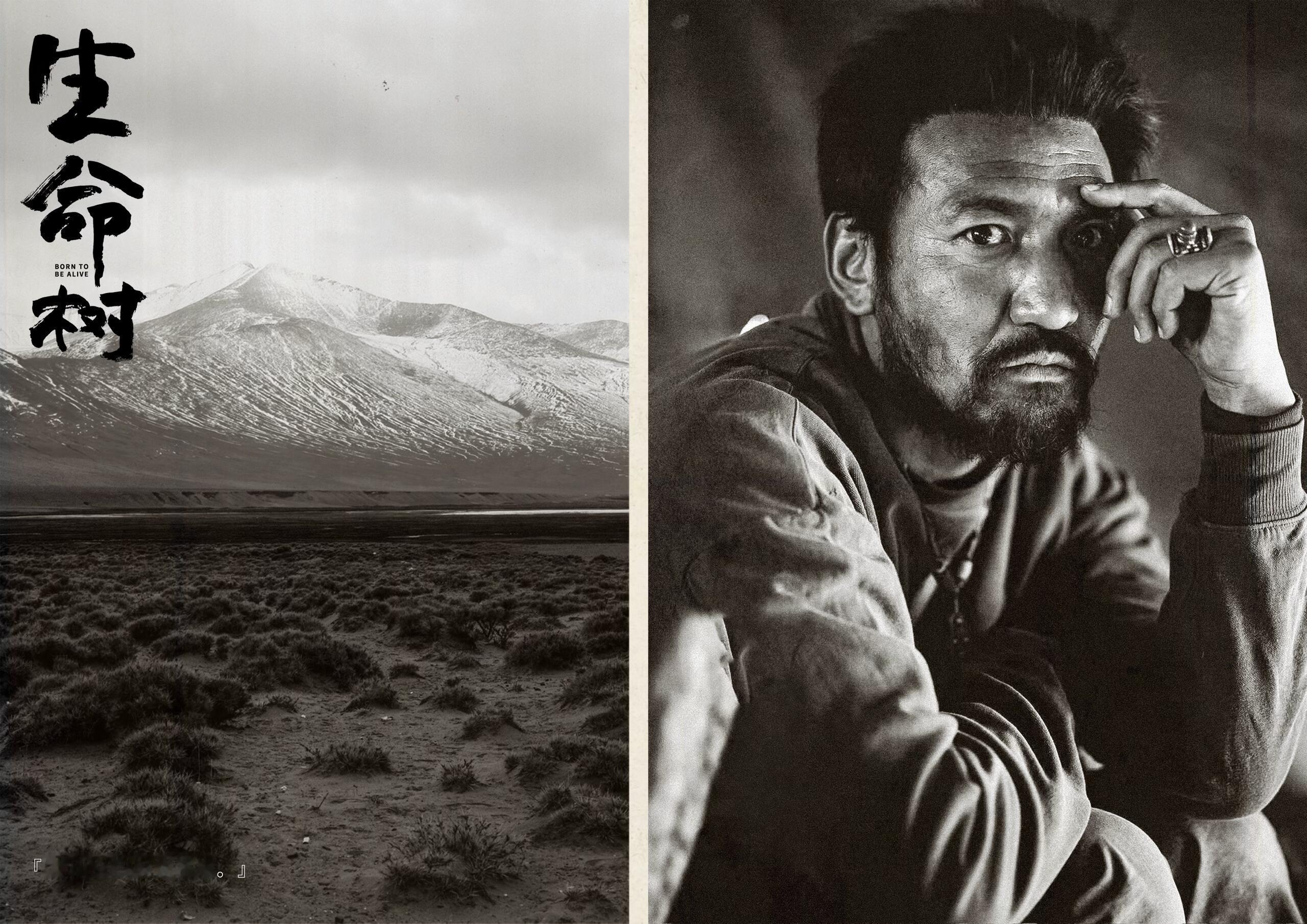 剧圈来了个影帝金巴从提名到主演，是认可也是新的开始。 金鸡奖的提名印证了行业的肯