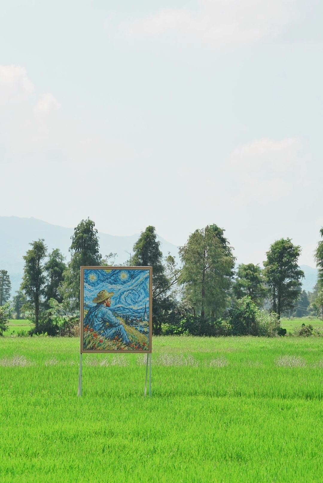 🌾台山｜广东小阿勒泰！坠入22.5万亩治愈稻海谁能拒绝广东这片一望无际的绿野稻