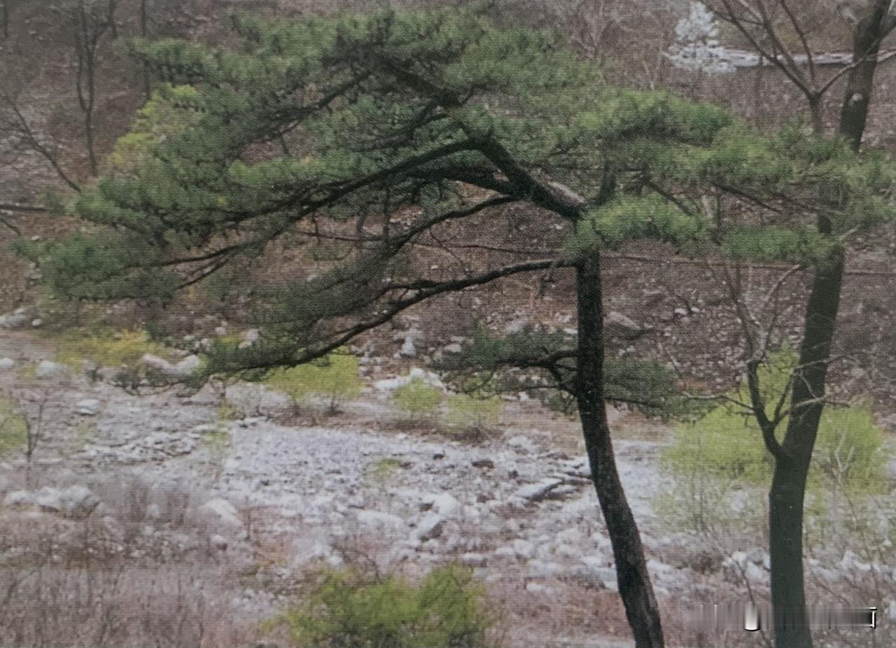 国画山水写生