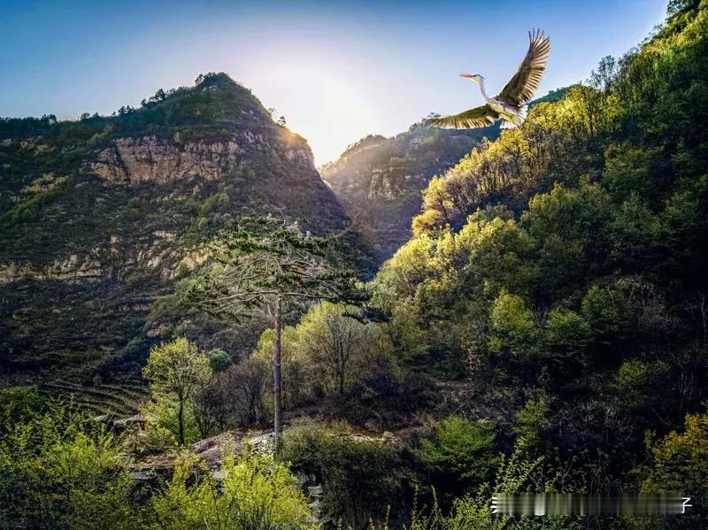 看到“山水清泉峡骑鹤”这个下联，我也来了兴致琢磨上联。从参考信息里找灵感，像“鹤