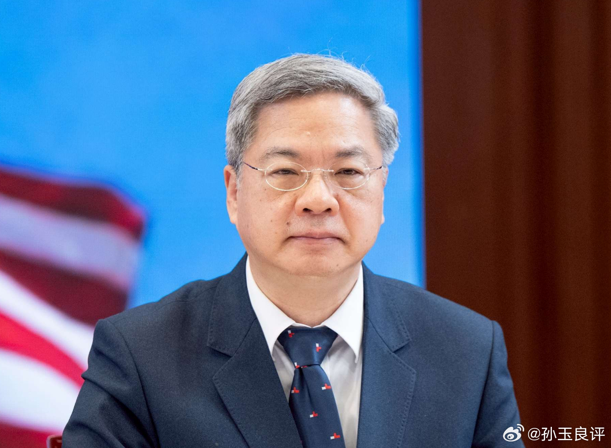 【评估稀土、抱紧美国、切割大陆，孙玉良：龚明鑫就是经济版汪精卫】稀土两个字，分量