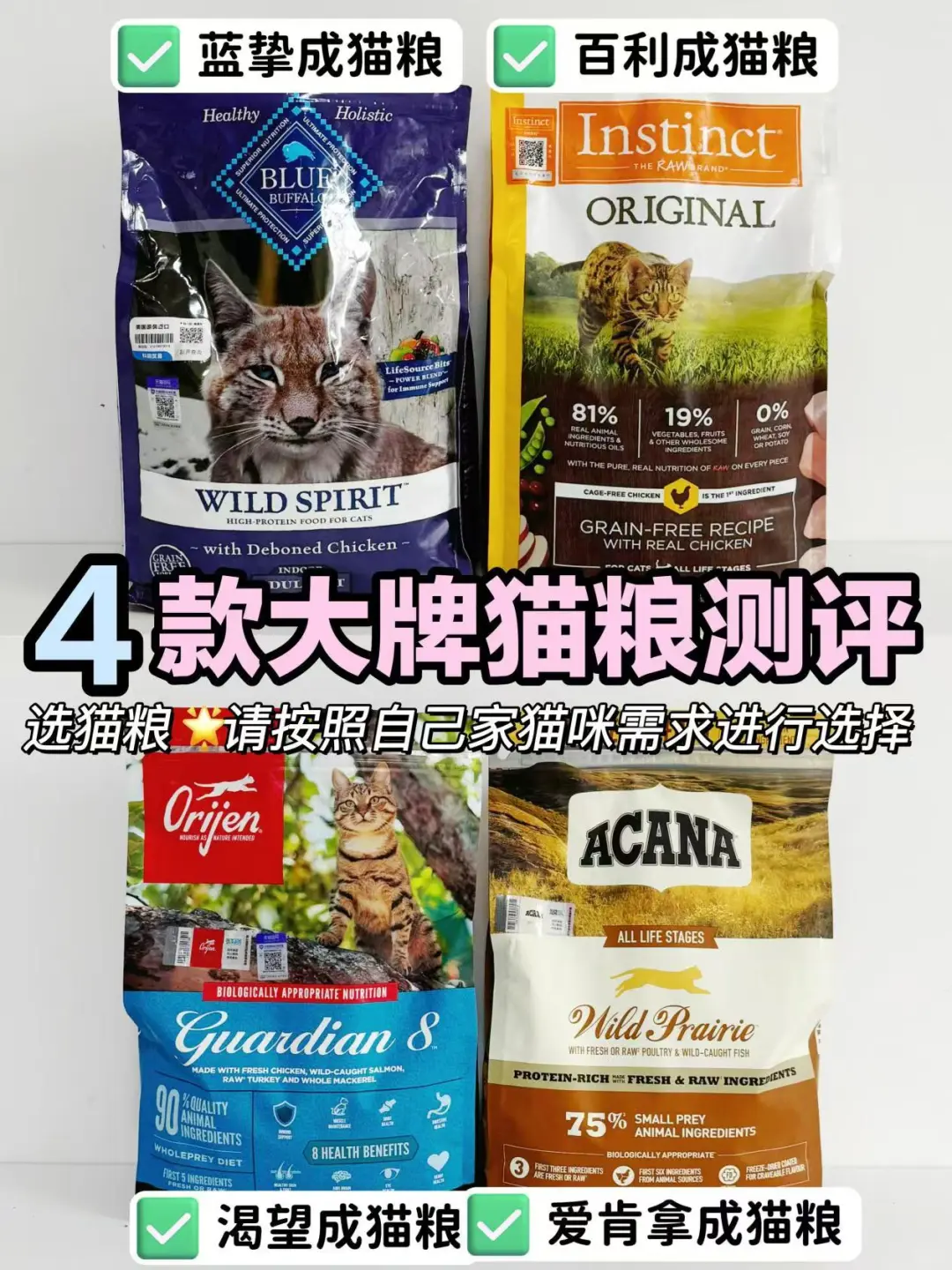 双11大牌猫粮分享！老实人爱说实话
