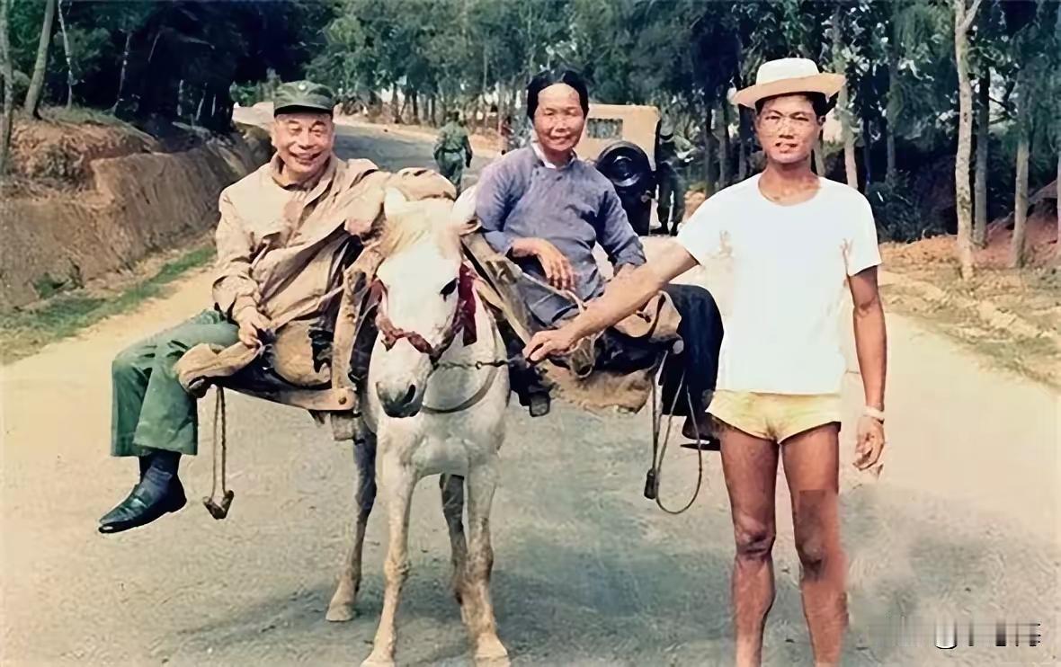 太子还有这么一出？
说的是在1950的时候，台湾地区的蒋介石之子蒋经国，走遍了台