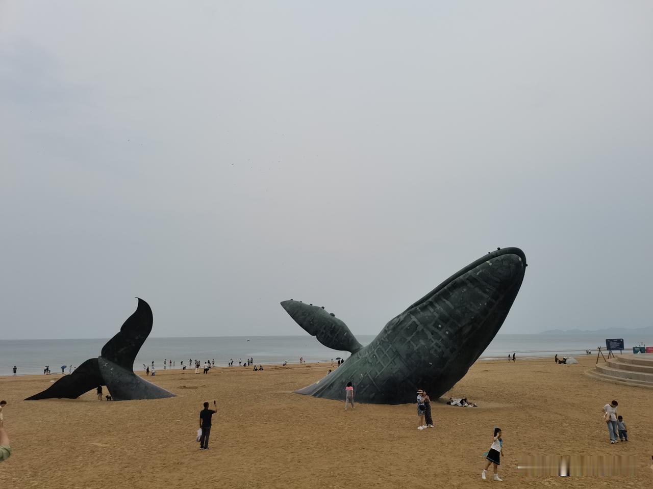 烟台金沙滩｜打卡孤独的鲸，赴一场海边自由之约
 
来烟台西海岸，金沙滩是绝对不能