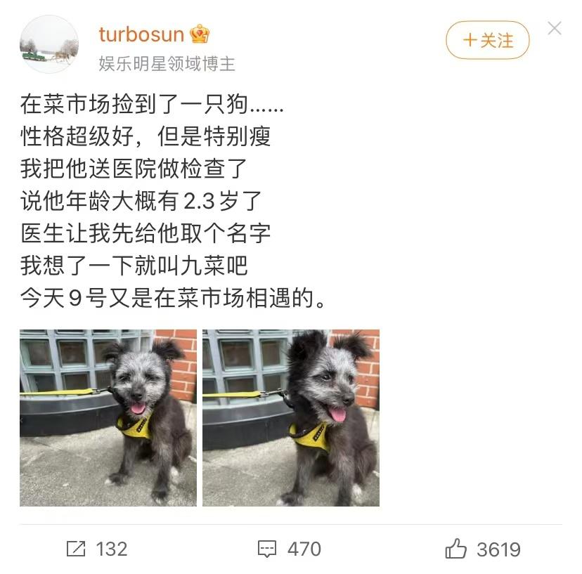 孙俪在菜市场捡到一只小狗！
搞笑的是，孙俪给小狗取名为“九菜”，因为是9号捡的，