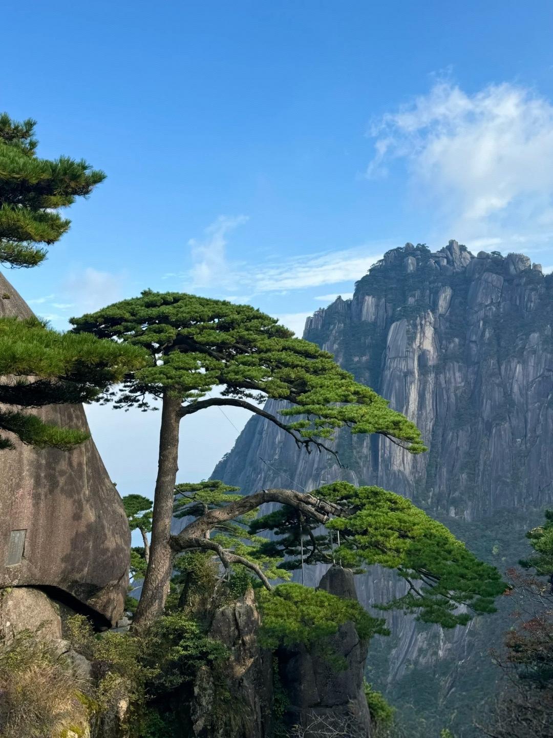 下联：一江碧水映天清

赏析：此联以“两岸青松”对“一江碧水”，松之青翠与水之碧