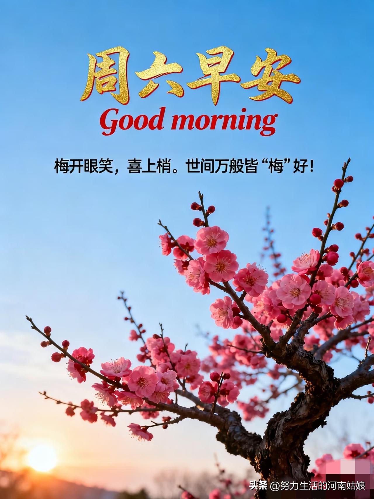 早安～今天是2月28日，周六，也是二月的最后一天。告别二月所有的遗憾与疲惫，带着