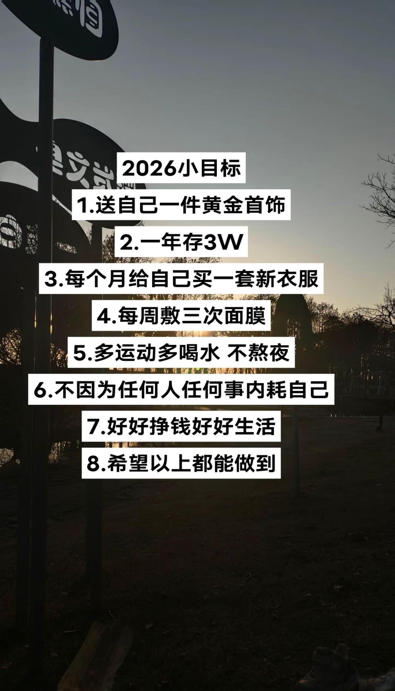 2026小目标1.送自己一件黄金首饰2.一年存3W3.每个月给自己买一套新衣服4