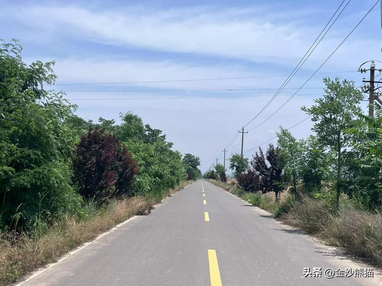 蒲州镇韩家村的麦田。
在运城深度游，去游客不去的地方，路过麦田，成熟的田野让人激