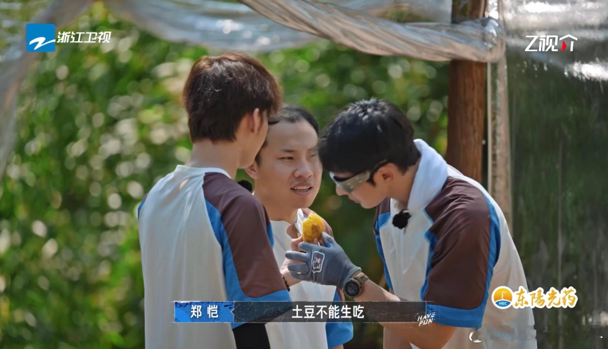 没人告诉王赫野生土豆不能吃吗嗨放派生土豆不能吃这一点王赫野真是不知道啊！不过他那