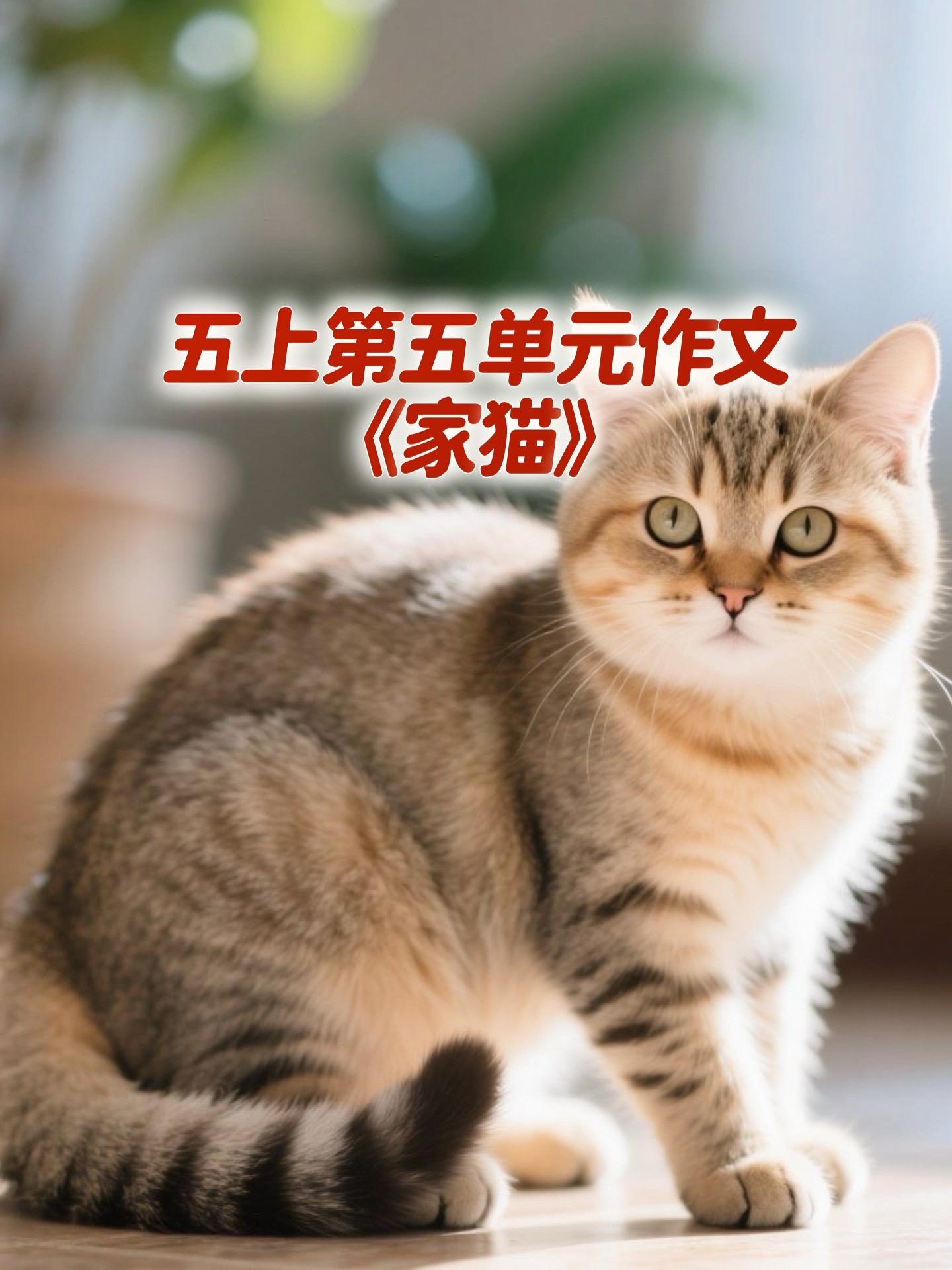 《家猫》 优秀范文。家长必读，小学五年级上册第五单元习作《介绍一件事物...