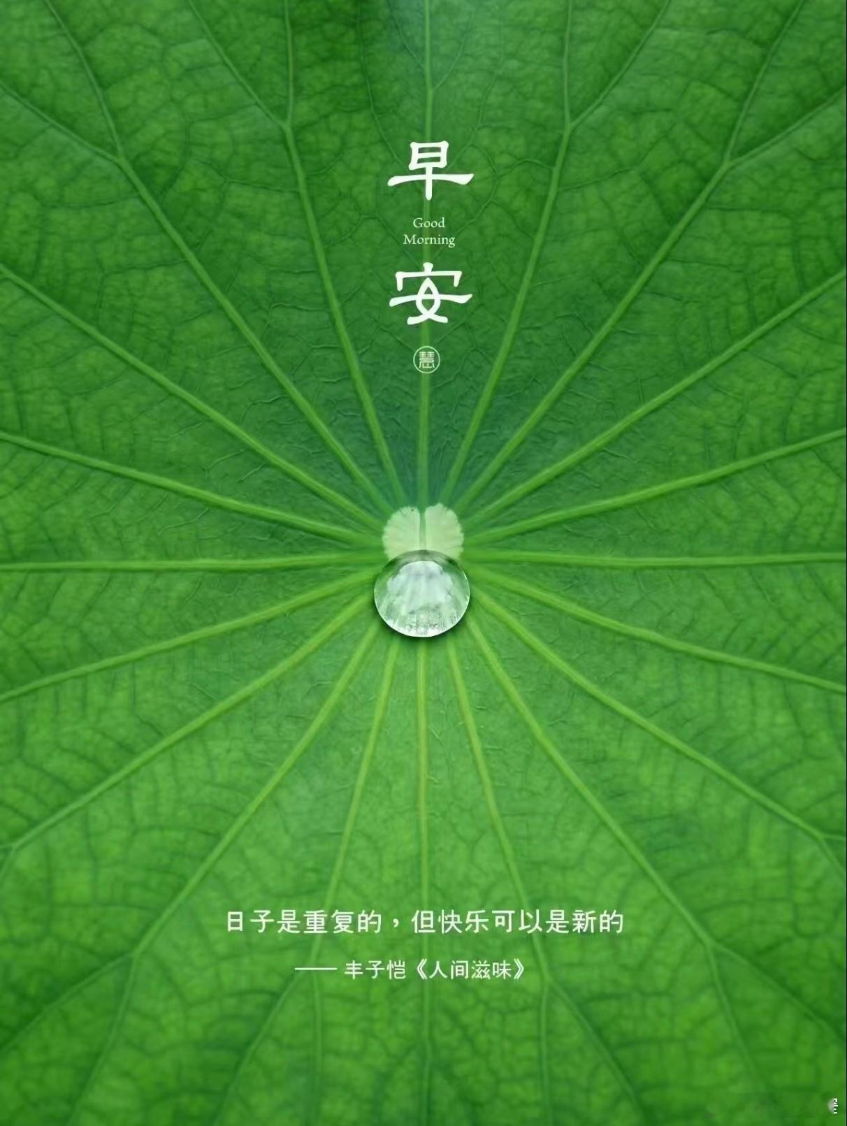 宽窄观察 《读书如供》神仙享用贡品，从来不是真的“吃掉”。一盘鲜果摆在案头，香气