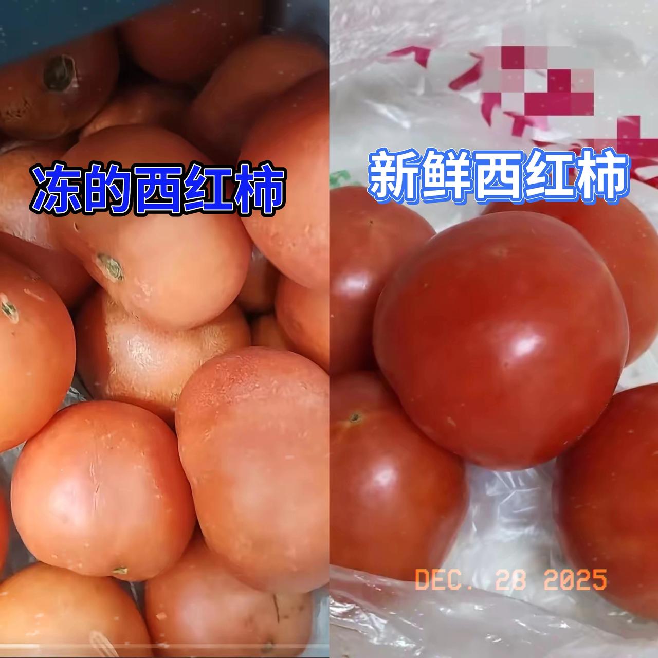 8块钱一斤的西红柿真要吃不起了！网友说夏天冻起来冬天吃，我直接惊掉下巴，这操作和
