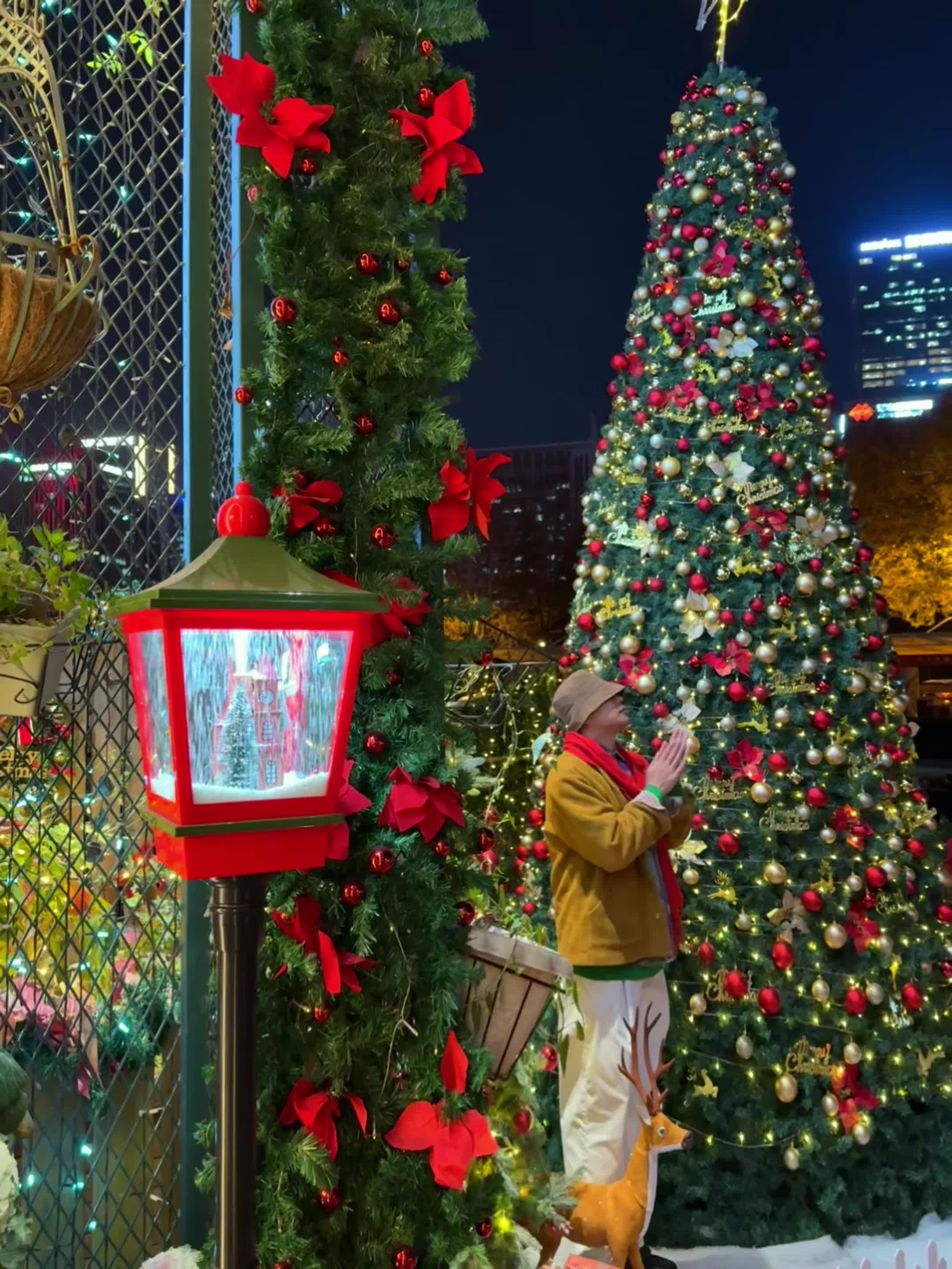 用Live图看济南的圣诞氛围🎄太浪漫❗️ 麋鹿森林 连枝 想开个店 ...