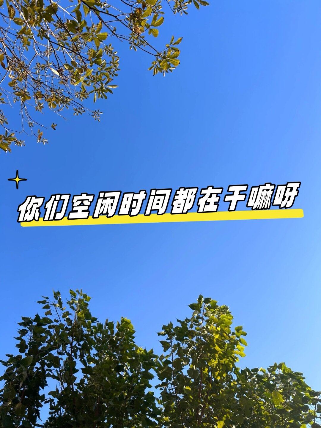 从电影本身说，春节这些无任何值得推荐……不过，春节嘛，无聊就找个看的也无所谓啦 