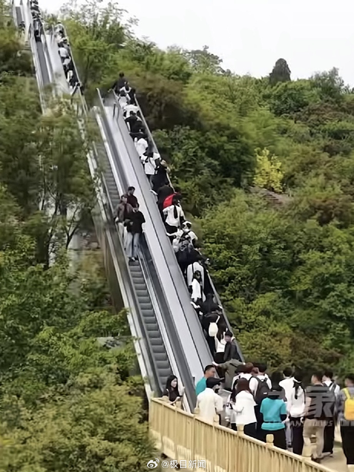 【#景区装电梯无痛爬山被质疑过度开发#】#景区客服回应无痛爬山争议#近日，河南宝