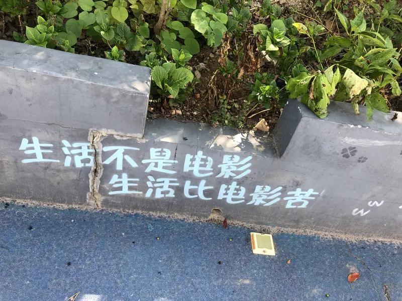 我现在的生活就像“一不做，二不休，任何事情都不想做，不停止的休息”。每天下班后就