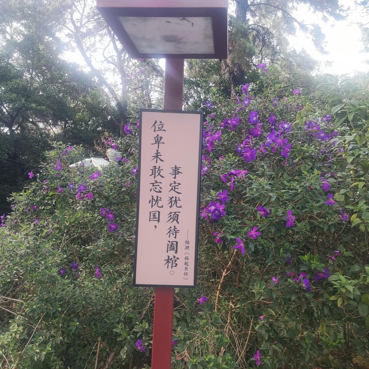 台海局势紧张，日本拱火。
逛公园有多少人注意这个牌子？
事定犹须待阖棺，位卑不敢