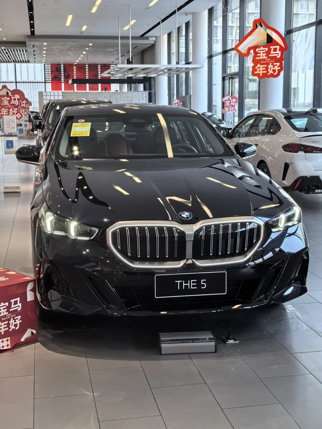 宝马5系 | 金马驮金归，马上暴富💰