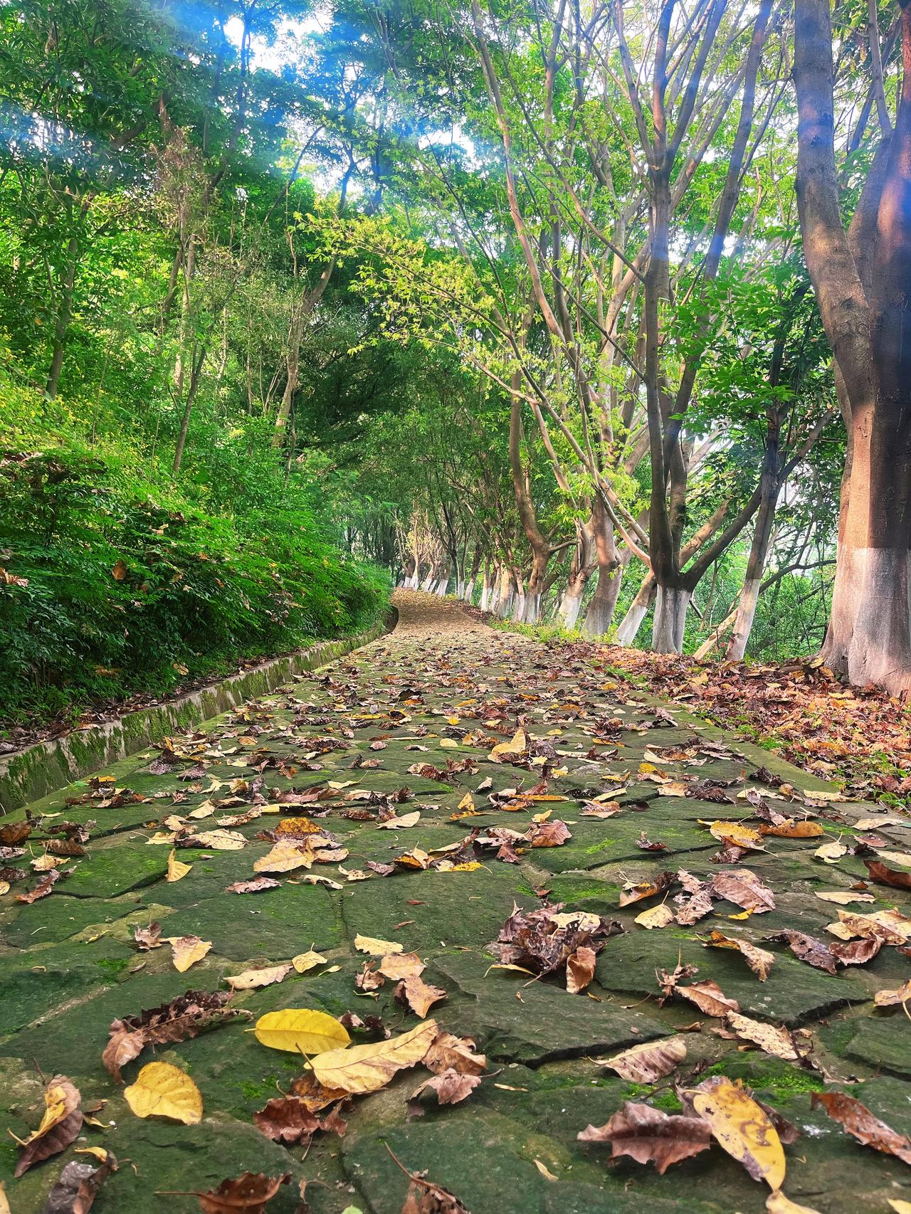 天上天下天好美