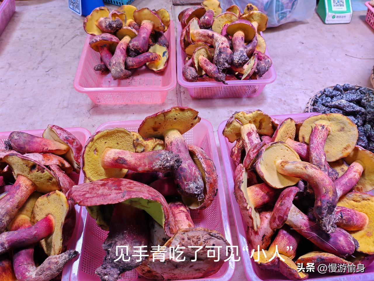 吃了会中毒的菌，吃了还想吃的菌——见手青！

见手青是昆明雨季最具代表性的条件可