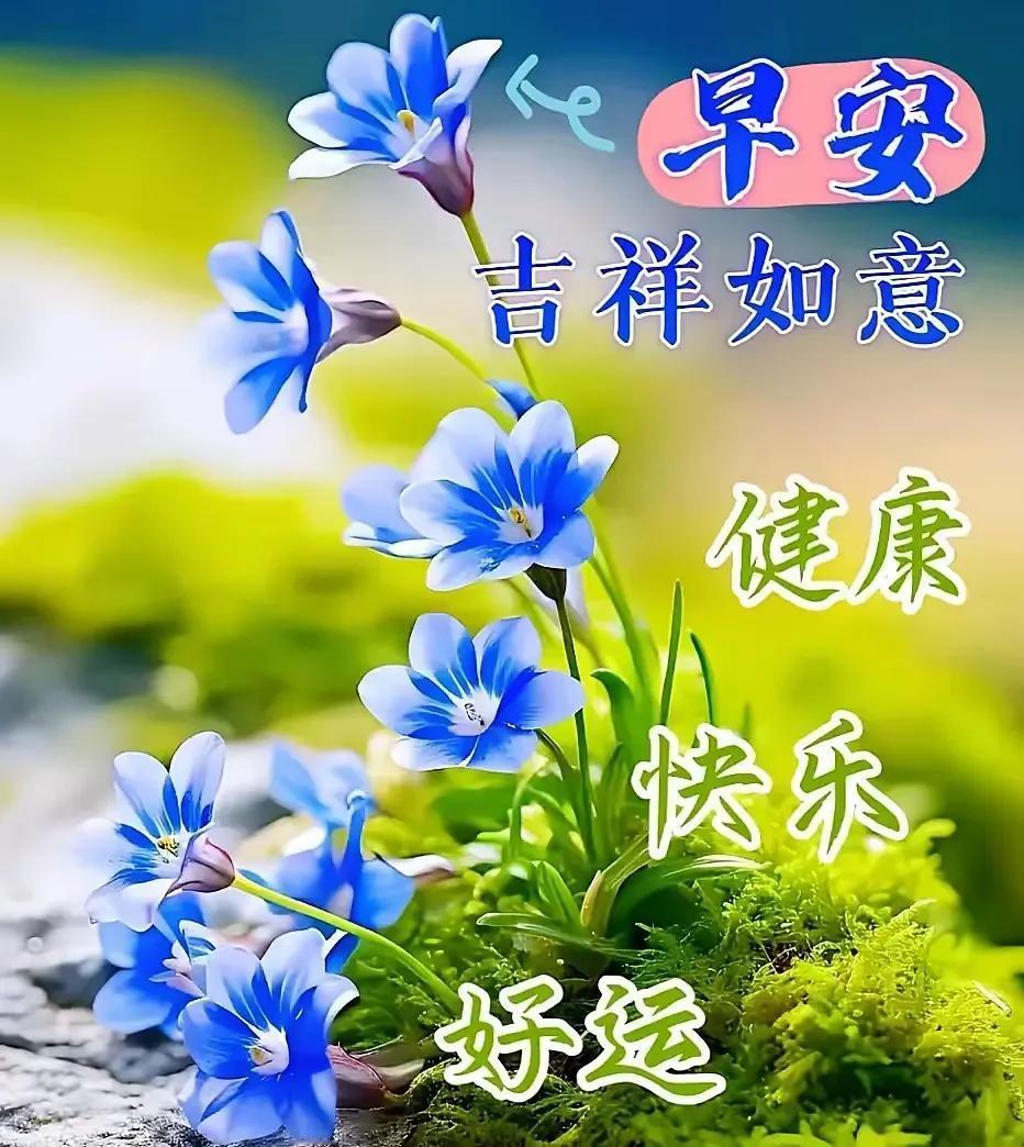 早安，吉祥如意，健康快乐，好运连连！🌸🌷