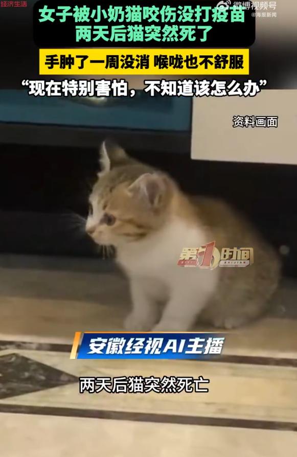 “细思极恐！”10月29日报道，河南开封，一女孩左手被小奶猫咬伤，她进行了消毒处