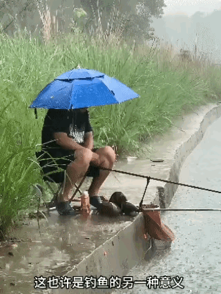 还是想不明白，钓鱼到底是为了什么。都下这么大的雨了，还不肯回家。 