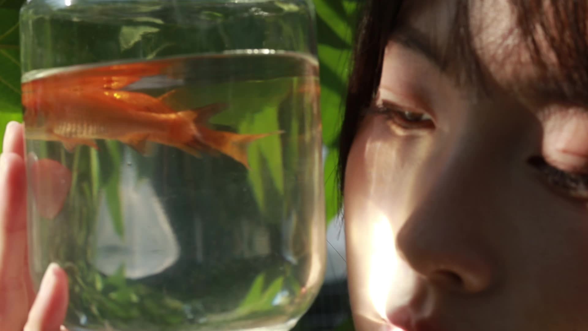 眼睛是世界上最小的海