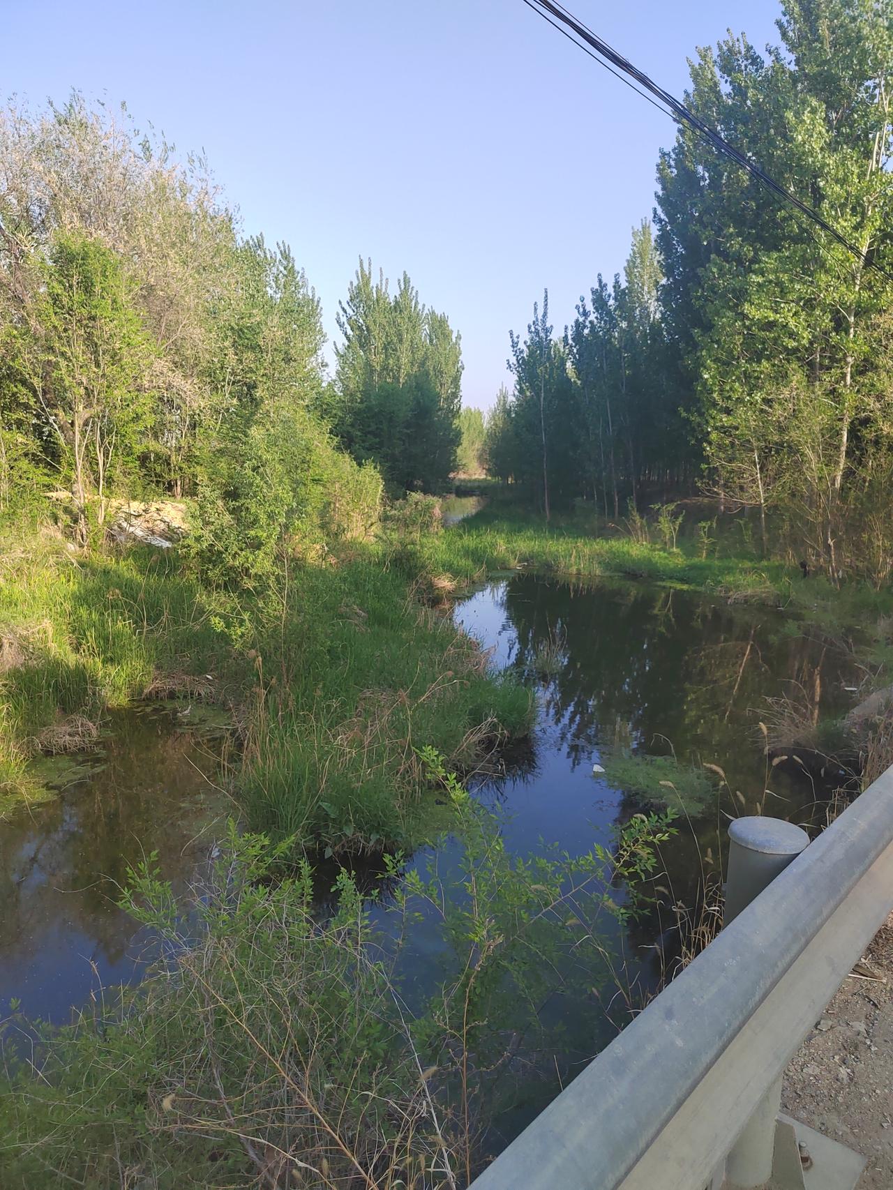 农村的风景照有吗，可以分享一下吗小时候家后面的这条小河，满是金灿灿的沙滩，夏天水