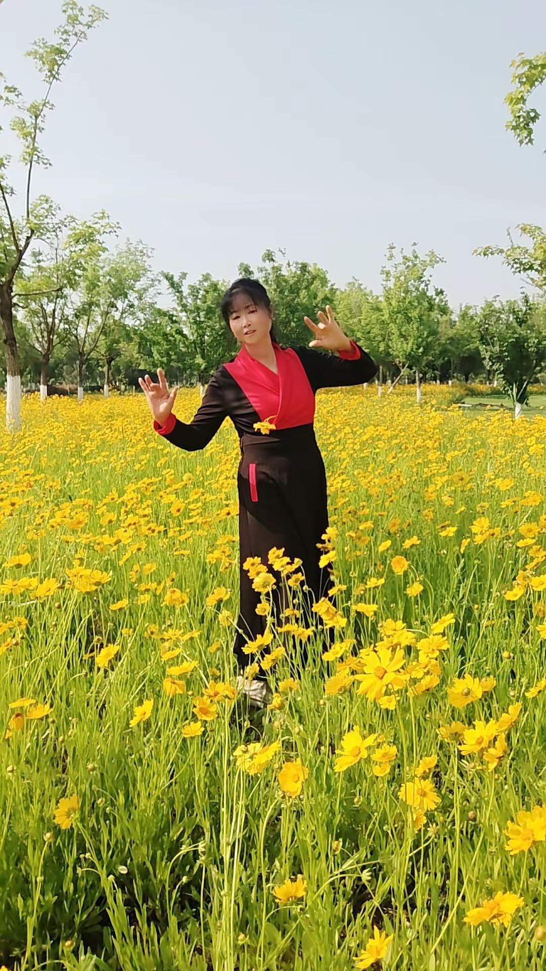 随走随拍。田园风光打卡 油菜花间跳起来吧 舞曲制作三山湖公园