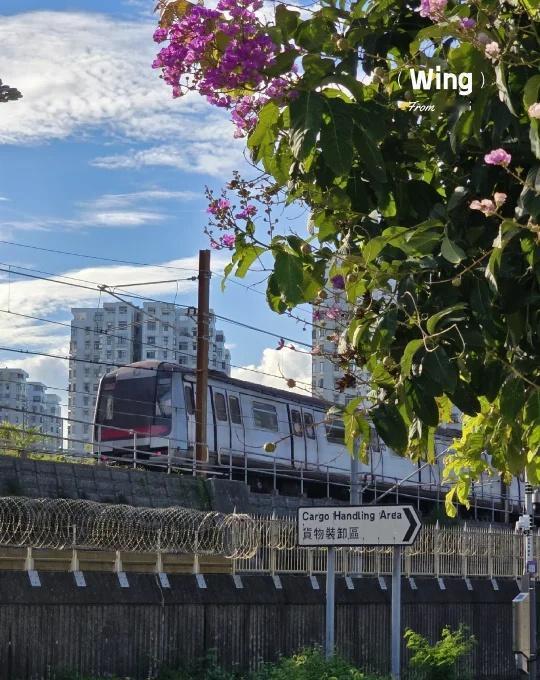 港鐵•港島綫｜【東端】露天路段
港鐵港島綫，絶大部分路段為地底路段。
只有東端的