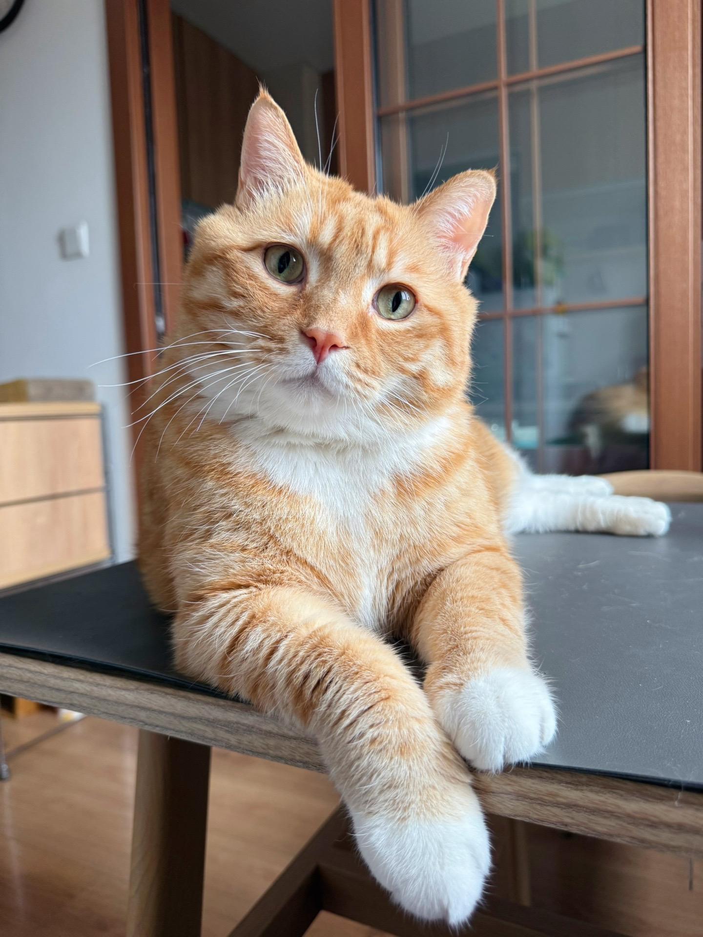 9岁大叔18斤7年没洗澡。