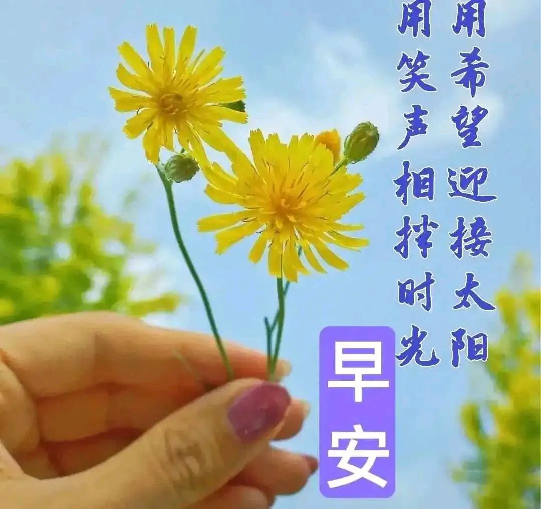 国庆了，你出游了么。。。
你是自家游、自驾游？还是随心游、随团游。。。
你呢？问