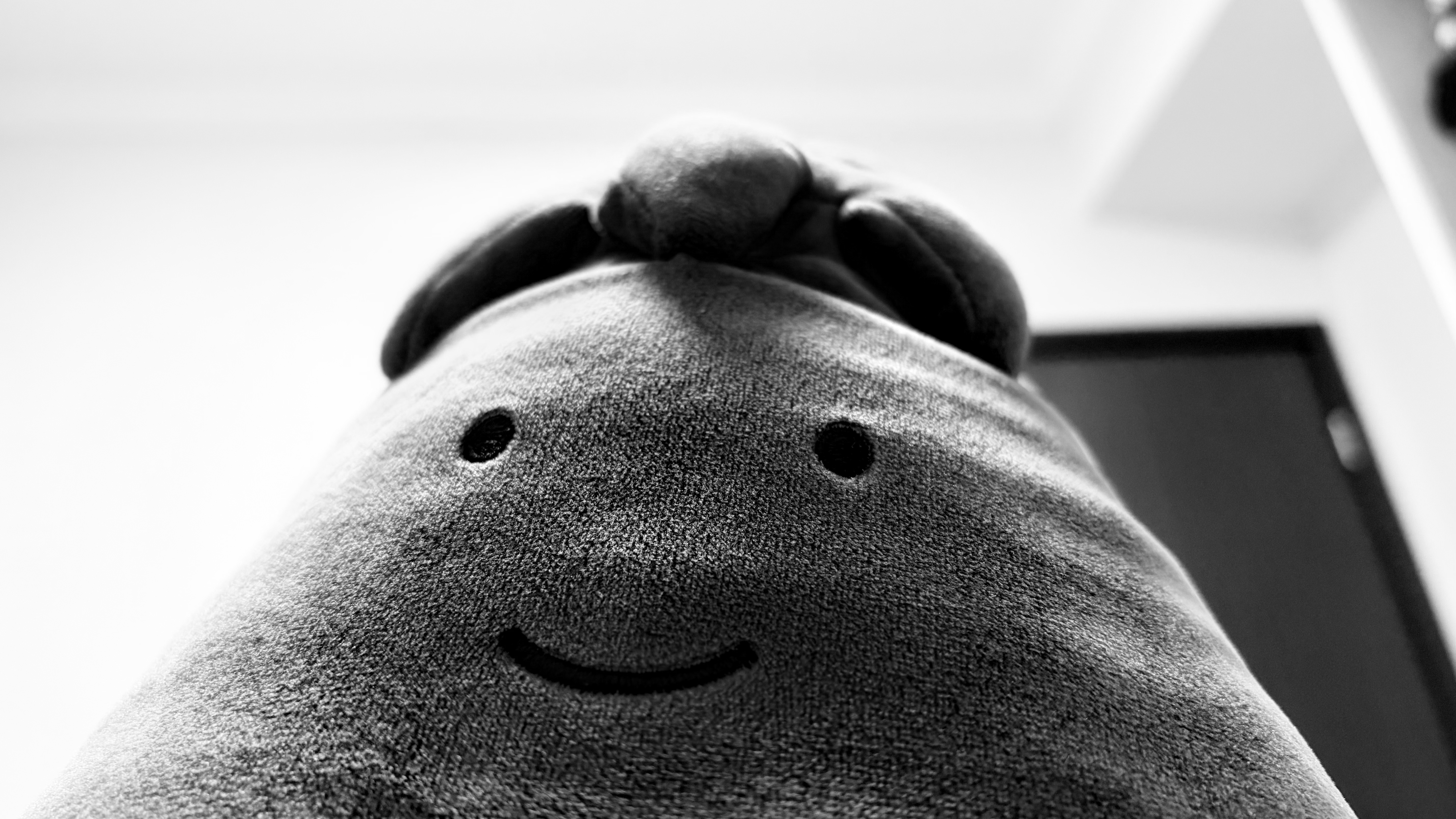 今天，你快乐吗？ ​​​