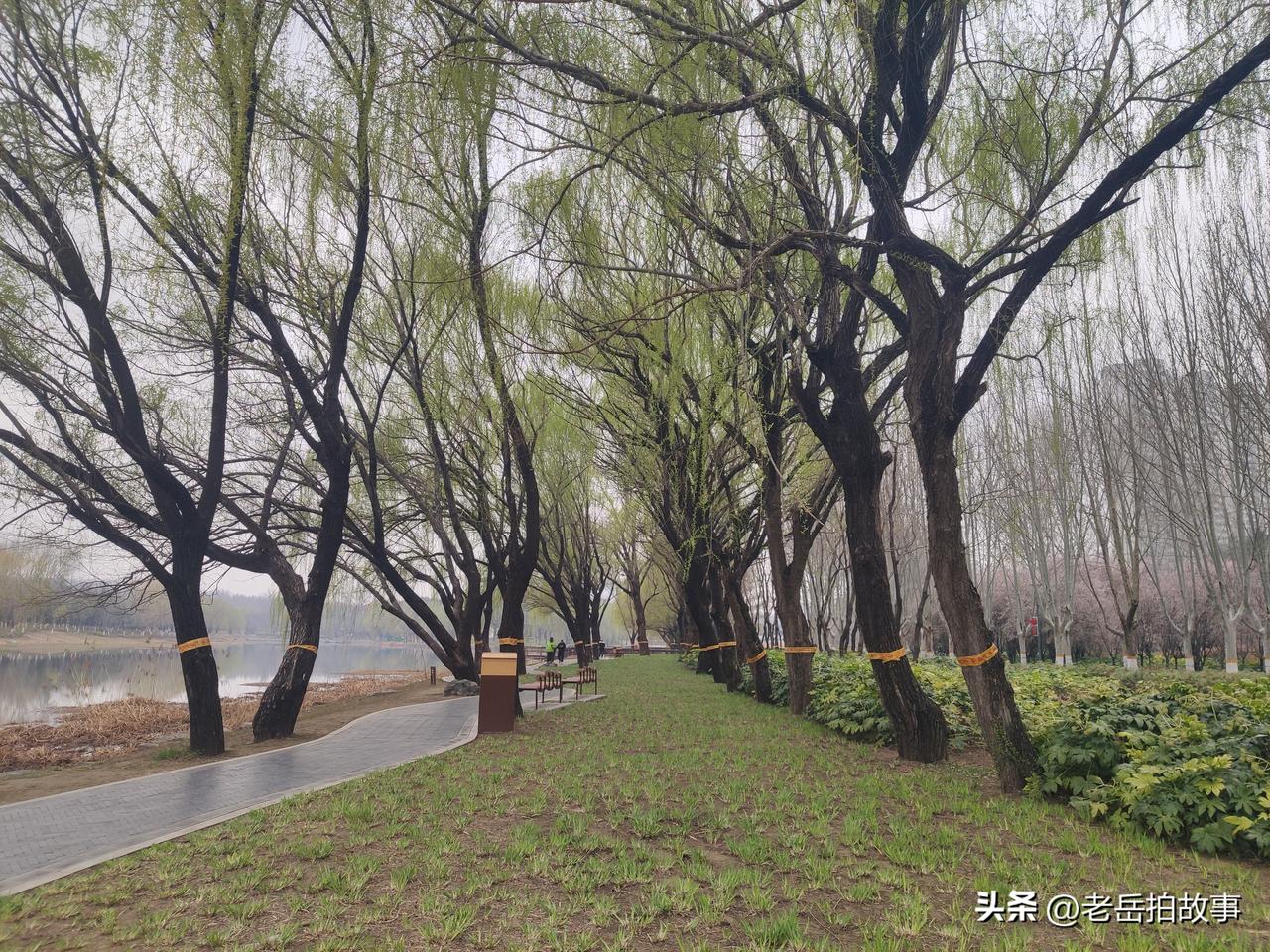 真是大千世界，无奇不有:街头路遇人家用手拍了一下你的肩膀，你立马变成了乖乖女！今