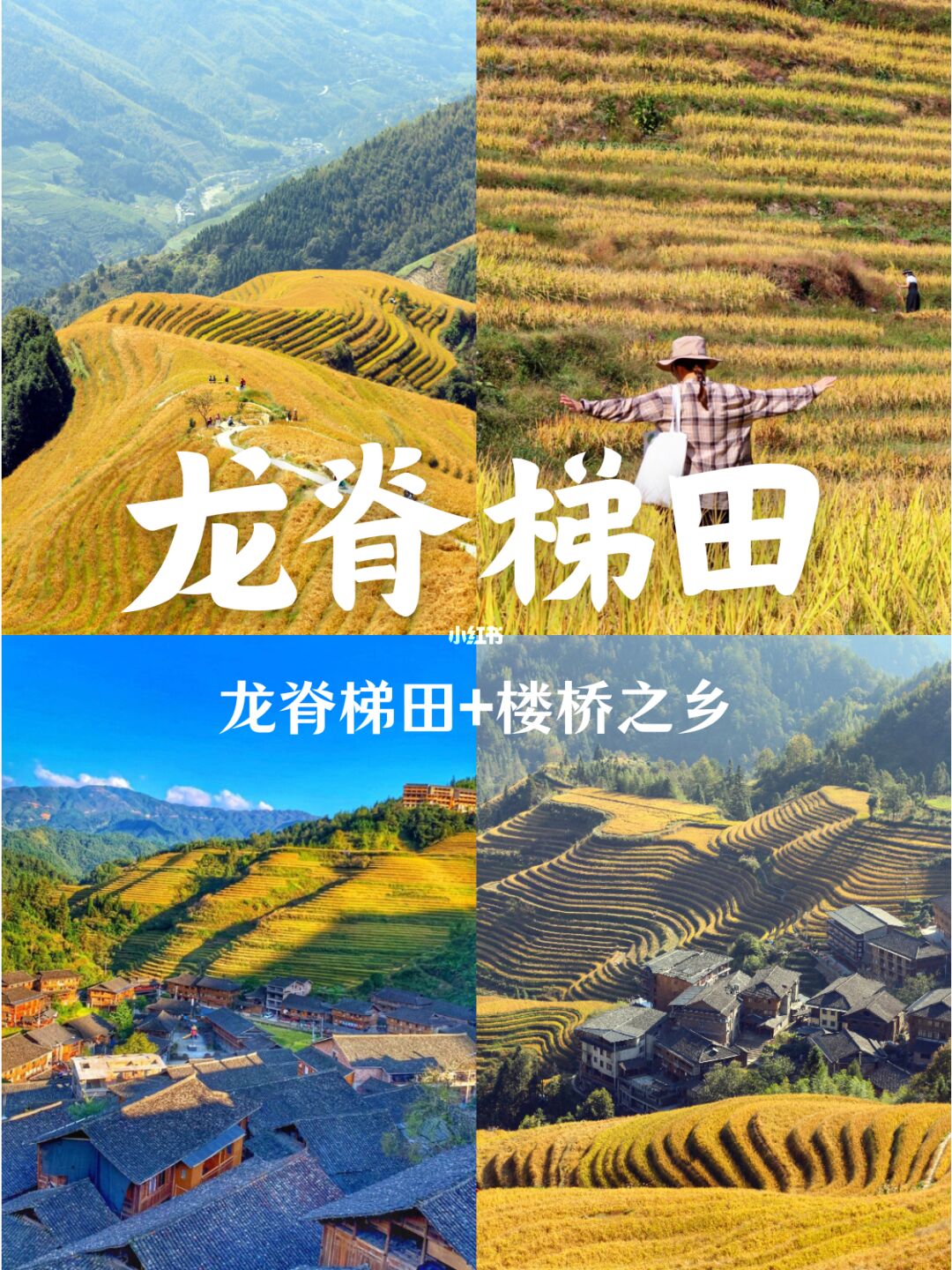 广东出发高铁最快1.5h!国庆7条高性价比线路