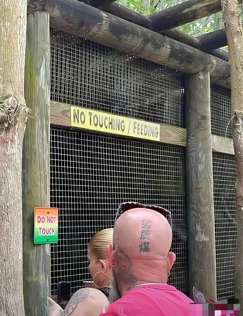 劣质煤 国人看是贬义，外国人觉得是好玩儿，纹身师如果是中国人估计也会解释文字含义