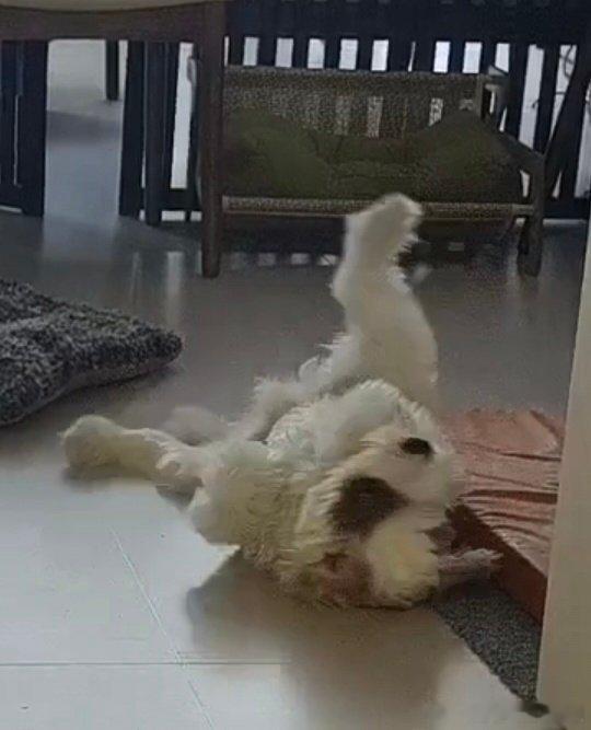 分享新鲜事 