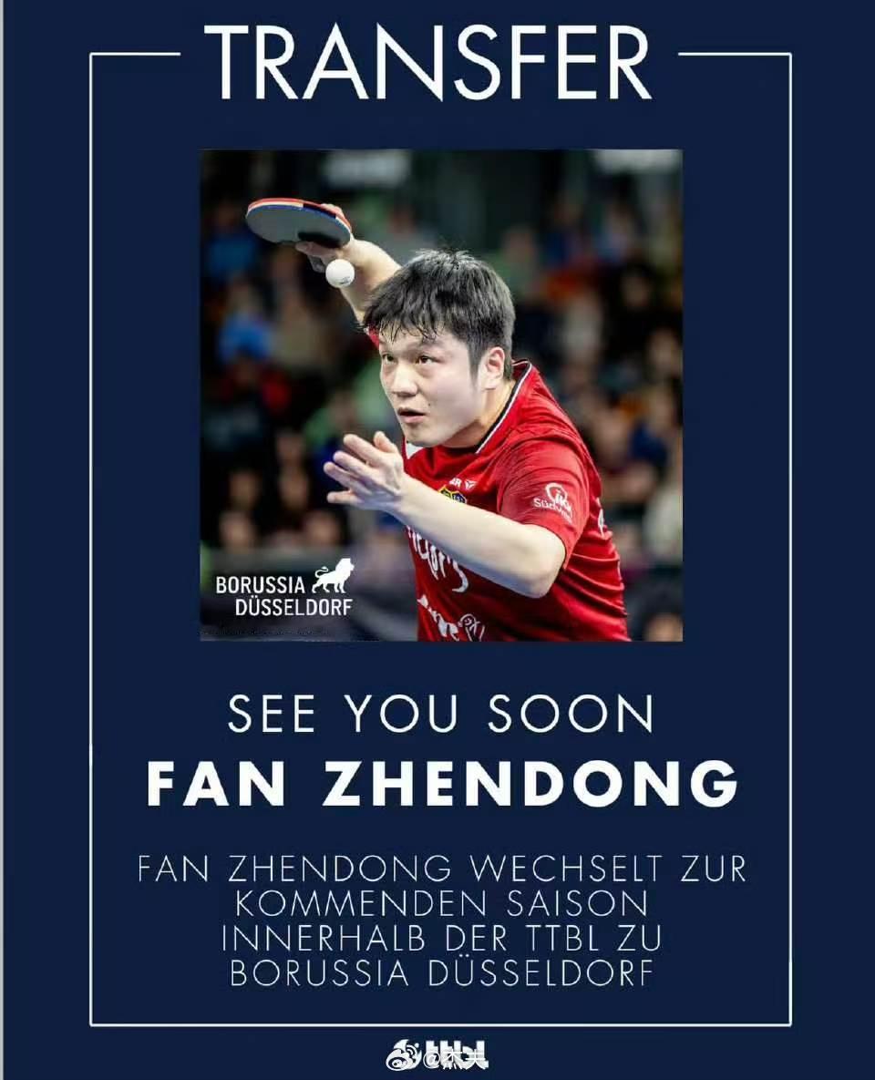 樊振东下赛季加盟杜塞尔多夫 官宣了！樊振东下赛季将转会，TTBL官宣，樊振东将加