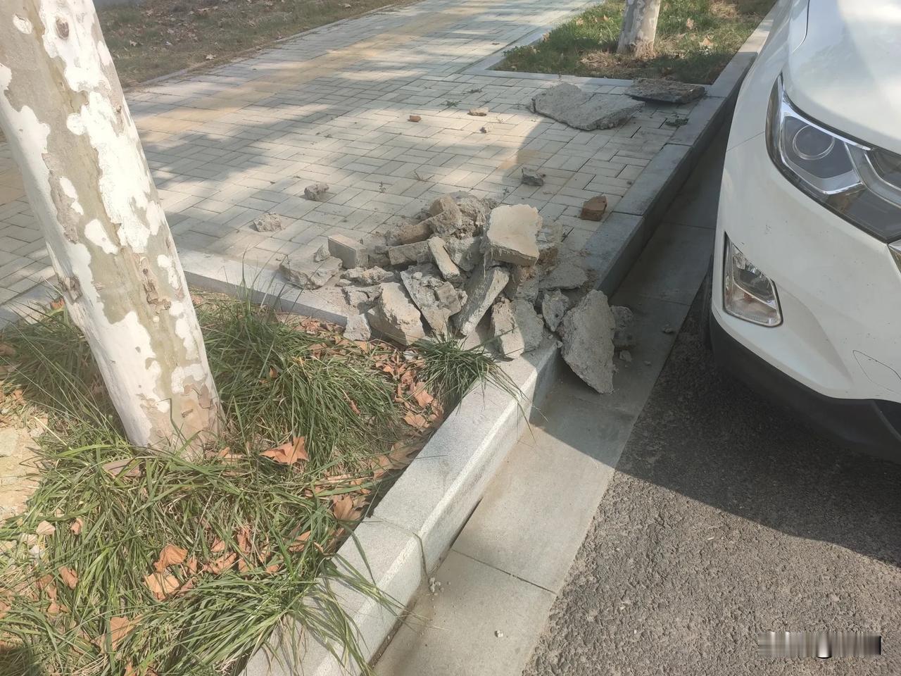 周口川汇区，残疾人老人面临出行困境， 20 厘米长的一个小斜坡竟被某部门多次破坏